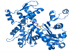 Картинки по запросу білок актин